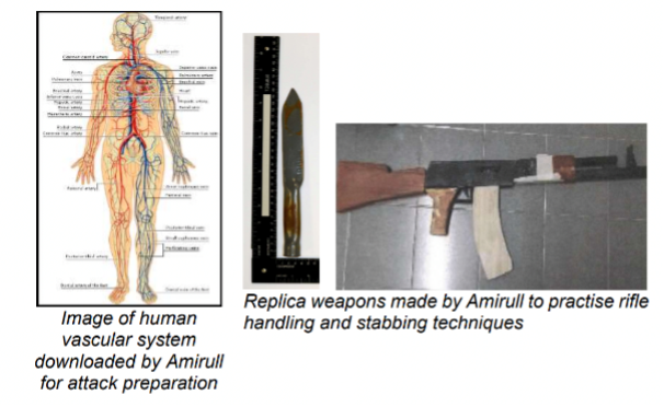 planned attack replica weapons terrorism self-radicalisation